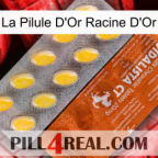 The Golden Root Gold Pill 42